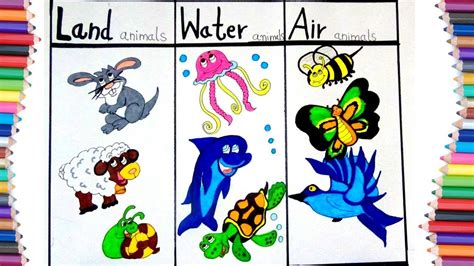 air animals drawing